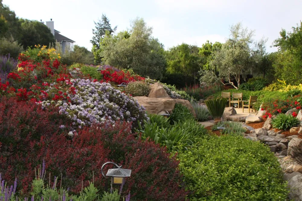 Custom outdoor landscaping in Healdsburg, CA - Geared for Growing