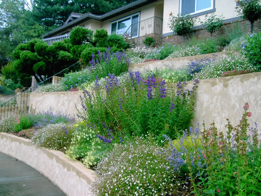 Expert landscape design in Healdsburg, CA by Geared for Growing