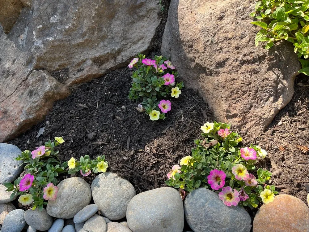 Trusted landscape design for residential properties in Healdsburg, CA by Geared for Growing