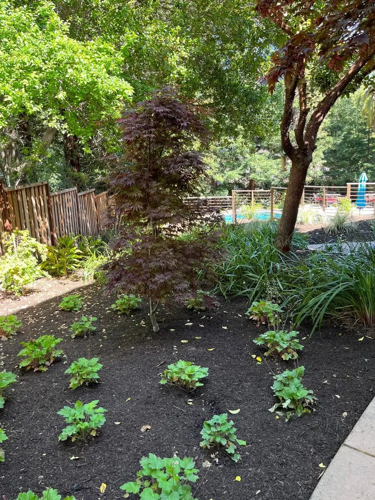 Professional garden landscaping in Healdsburg, CA - Geared for Growing