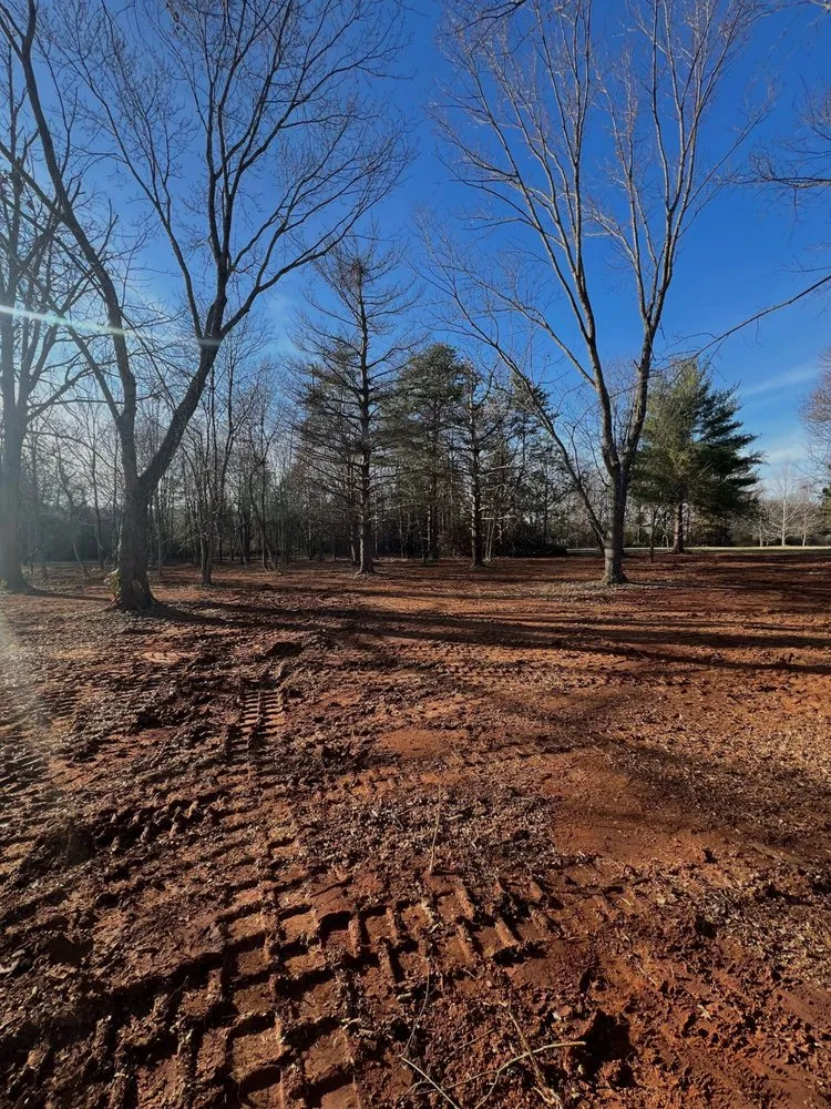 Local lawn mowing service experts serving Guntersville, AL - Geaux Big Development