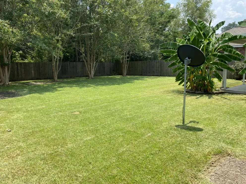 Affordable yard cleanup service for year-round maintenance across Denham Springs, LA - Geaux Green Lawn Care