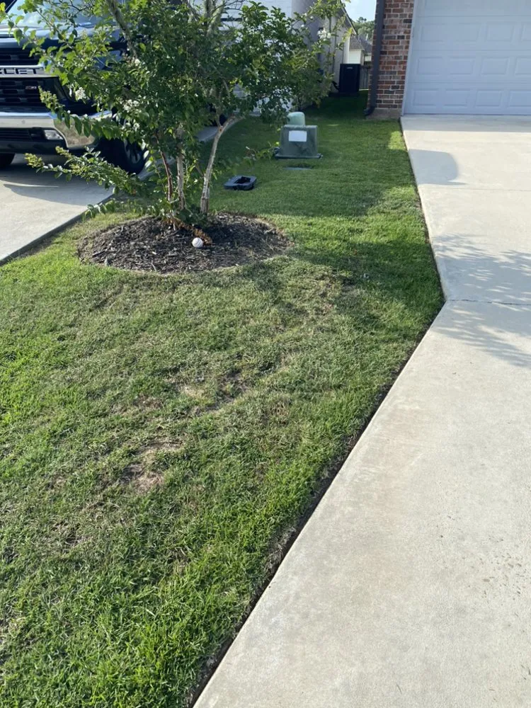 Expert landscaping services in Denham Springs, LA by Geaux Green Lawn Care