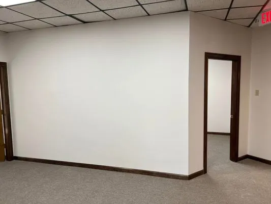 Geaux-N-Green Painting & Home Repair