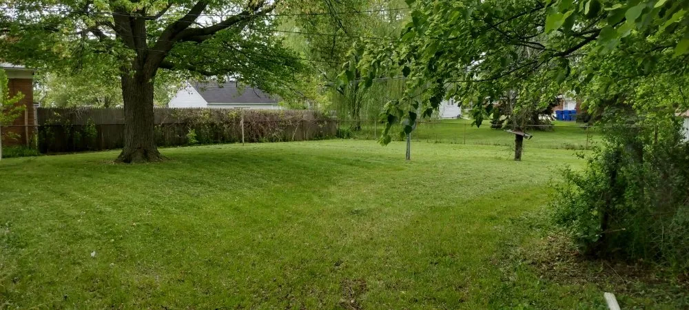 Custom yard maintenance near you in Ferndale, MI by Geci's Lawncare & Outdoor Services