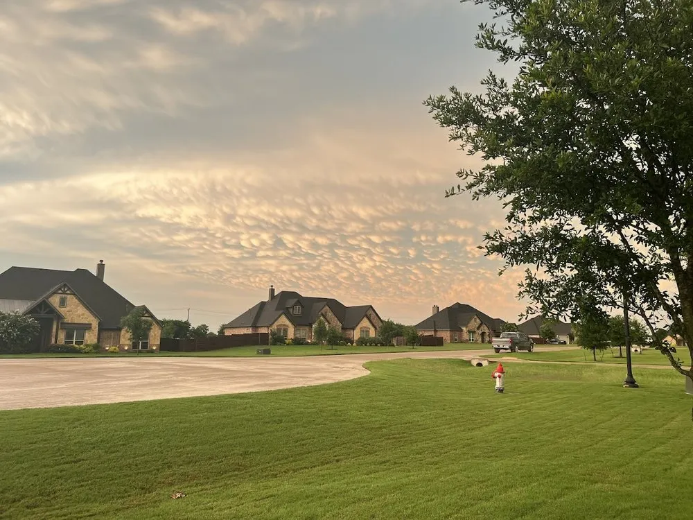 Affordable outdoor landscaping in Fort Worth, TX - Gecko Green