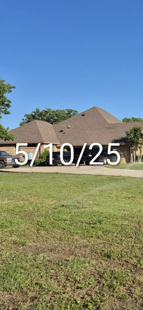 Trusted yard cleanup service in Fort Worth, TX - Gecko Green