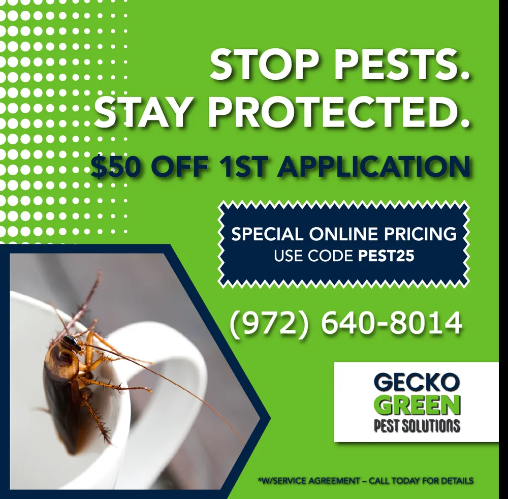 Local landscape design in Fort Worth, TX - Gecko Green