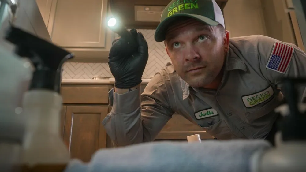 Expert yard cleanup service with custom design across Irving, TX - Gecko Green Lawn Care