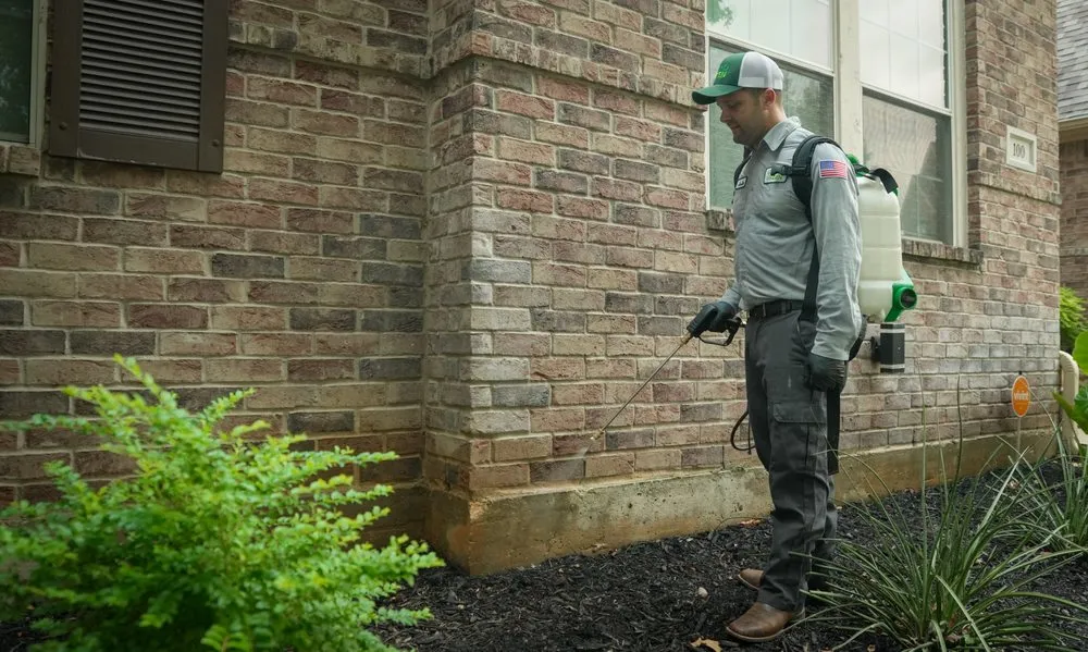 Affordable yard maintenance in Irving, TX by Gecko Green Lawn Care