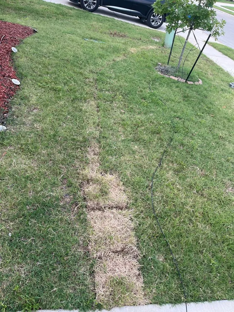 Trusted landscape installation with custom design in Irving, TX by Gecko Green Lawn Care