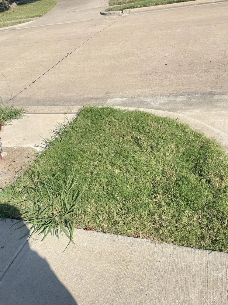 Trusted garden landscaping in Irving, TX by Gecko Green Lawn Care