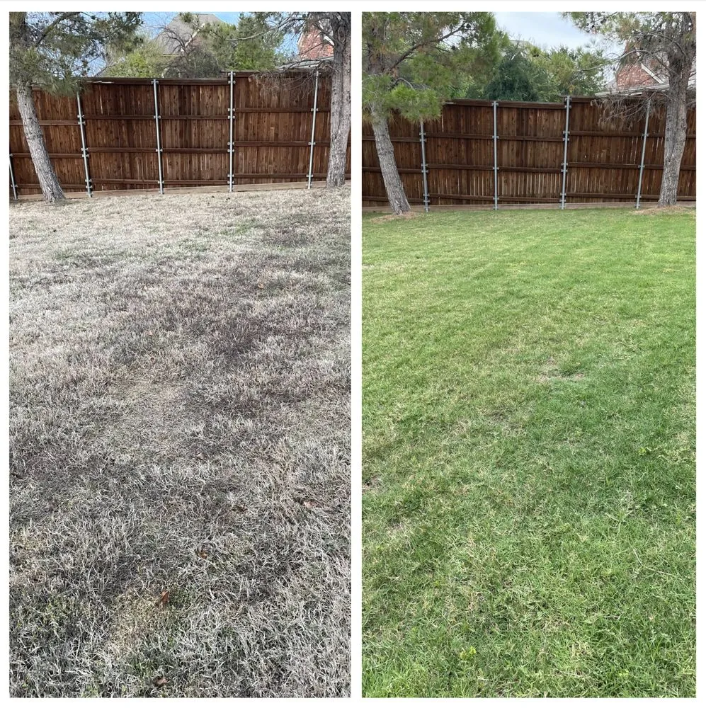 Trusted landscape installation for residential properties across Irving, TX - Gecko Green Lawn Care