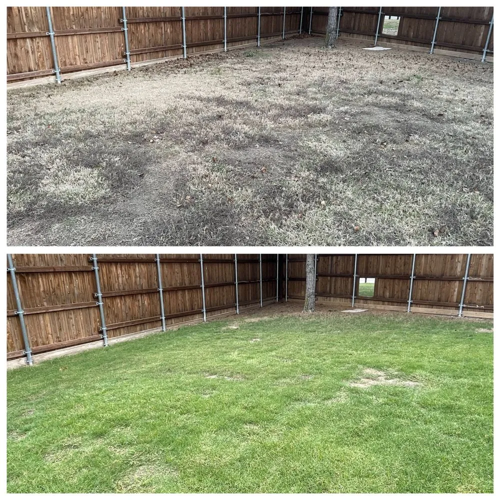 Affordable landscape installation in Irving, TX - Gecko Green Lawn Care