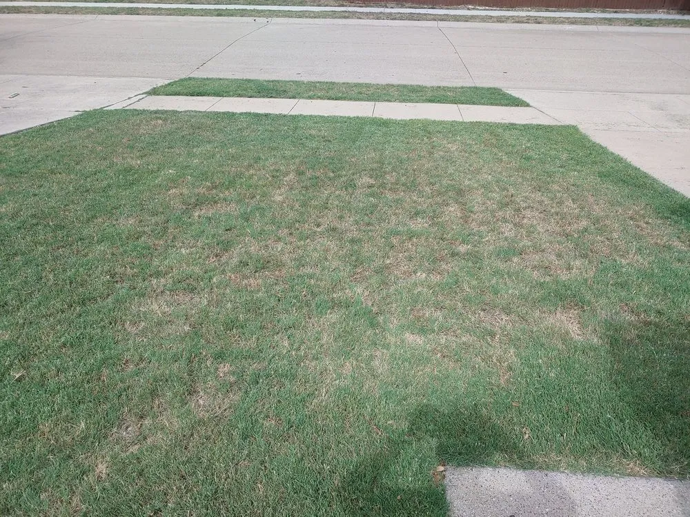 Top-rated garden landscaping with custom design in Irving, TX by Gecko Green Lawn Care