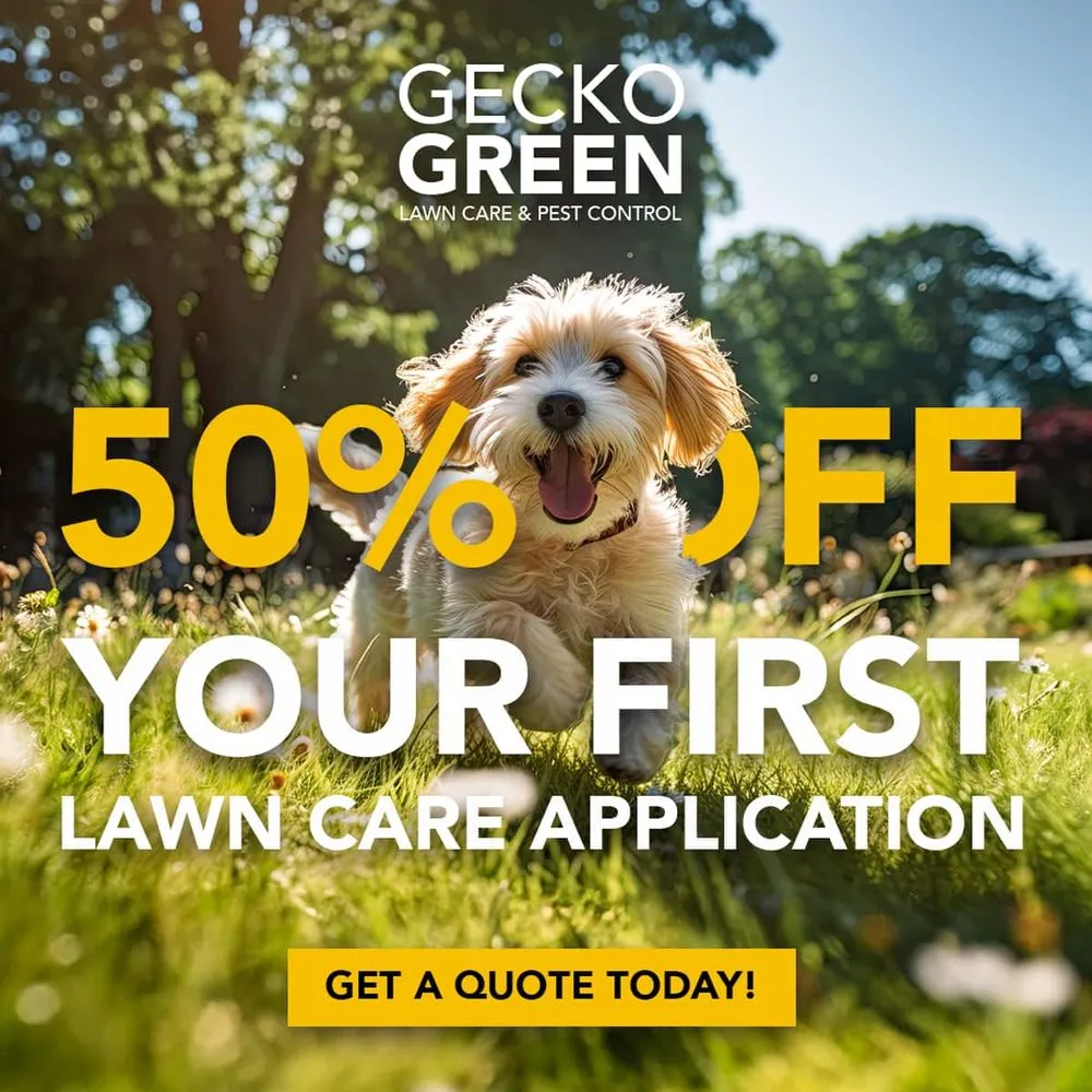 Professional yard maintenance in Irving, TX - Gecko Green Lawn Care
