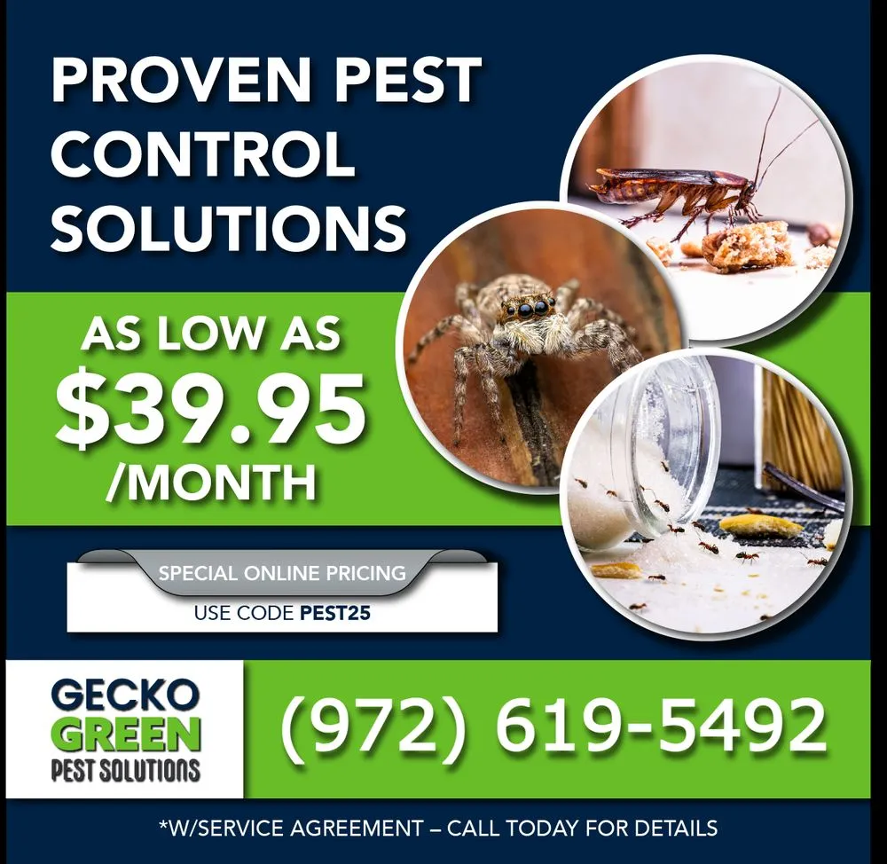 Trusted lawn mowing service experts serving Irving, TX - Gecko Green Lawn Care