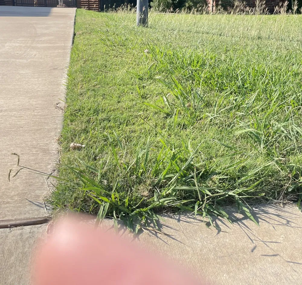 Affordable yard cleanup service in Irving, TX - Gecko Green Lawn Care