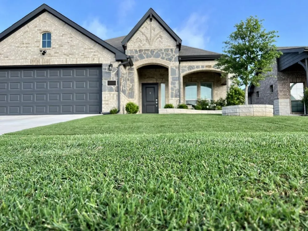 Reliable yard maintenance in Irving, TX by Gecko Green Lawn Care