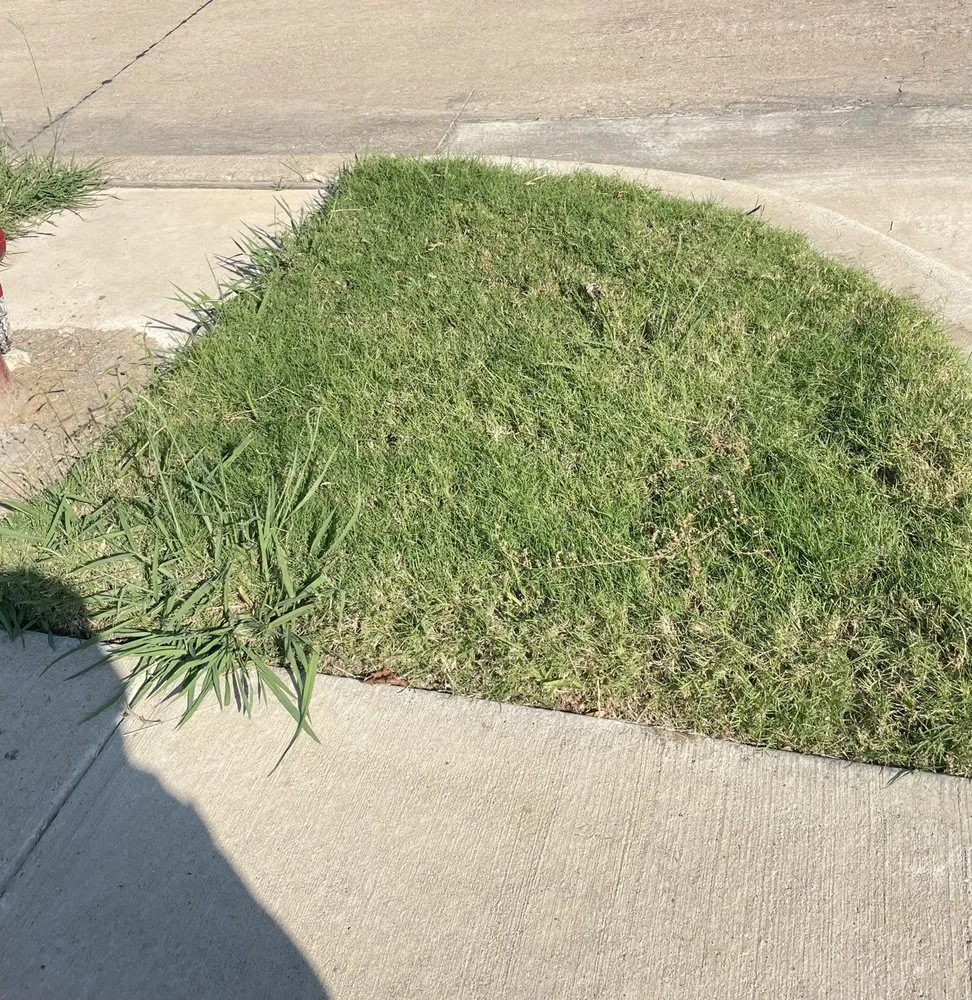 Professional landscape installation experts serving Irving, TX - Gecko Green Lawn Care