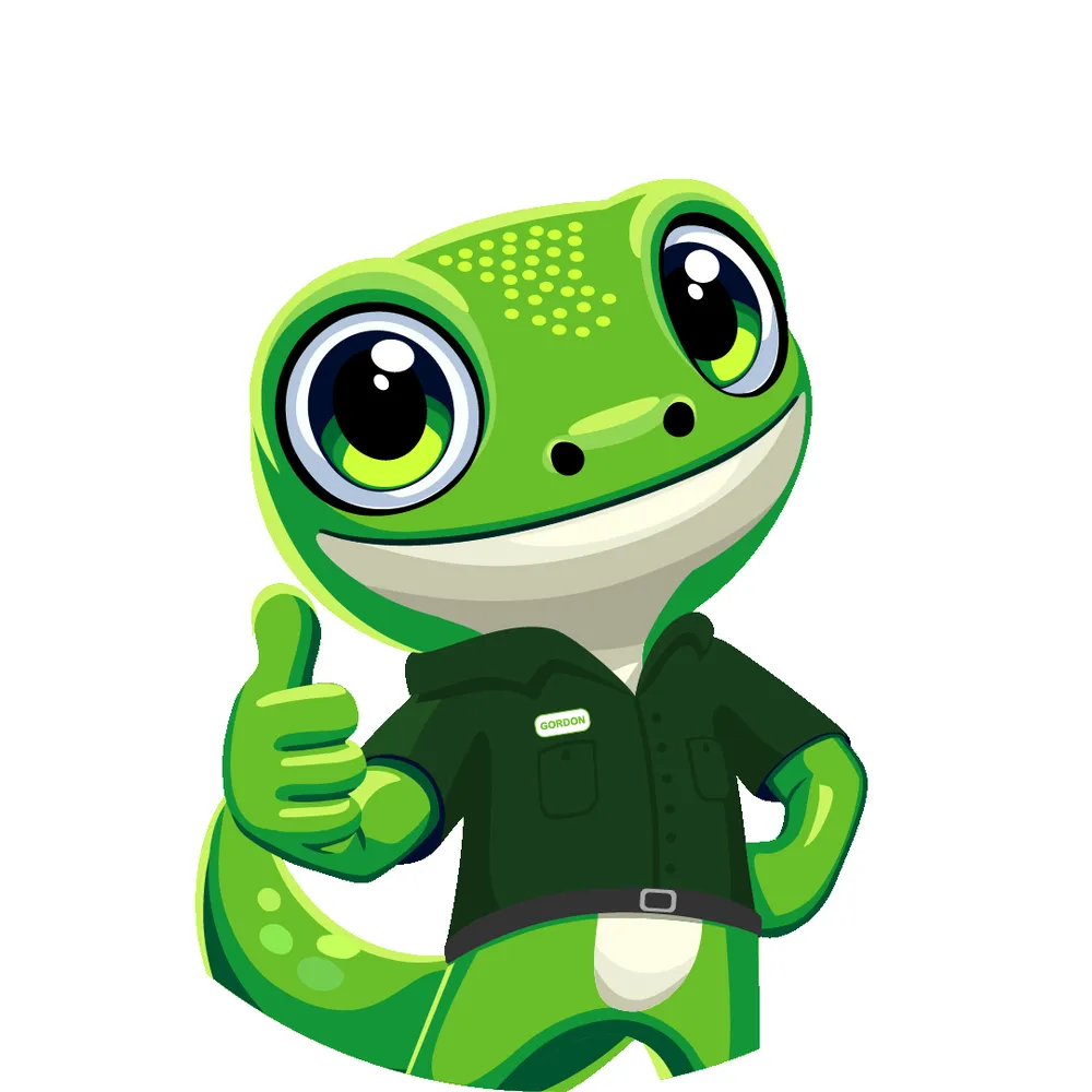 Custom yard maintenance experts serving Richardson, TX - Gecko Green Lawn Care