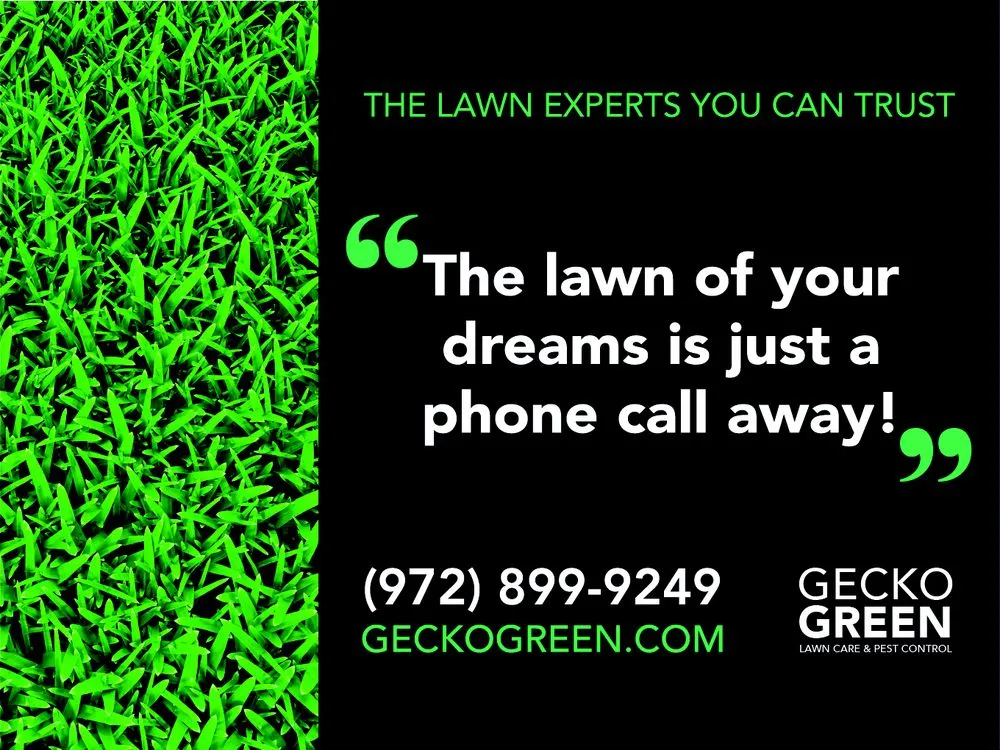 Trusted landscape installation near you in Richardson, TX by Gecko Green Lawn Care