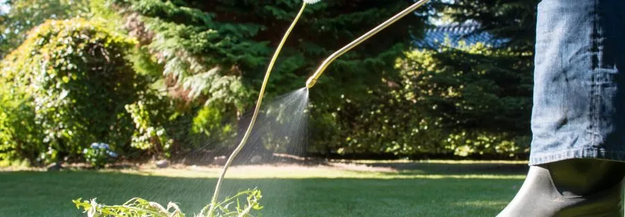 Affordable garden landscaping for homes in Richardson, TX by Gecko Green Lawn Care