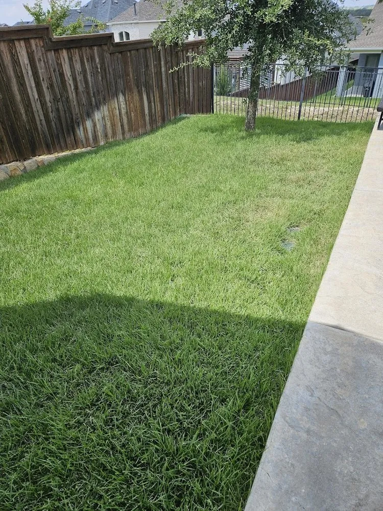 Expert lawn mowing service in Richardson, TX by Gecko Green Lawn Care