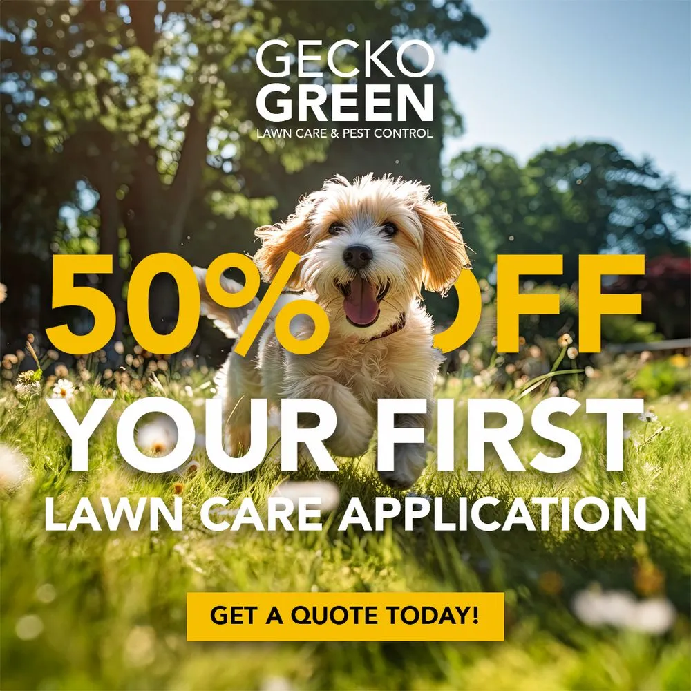 Top-rated outdoor landscaping for homes across Richardson, TX - Gecko Green Lawn Care