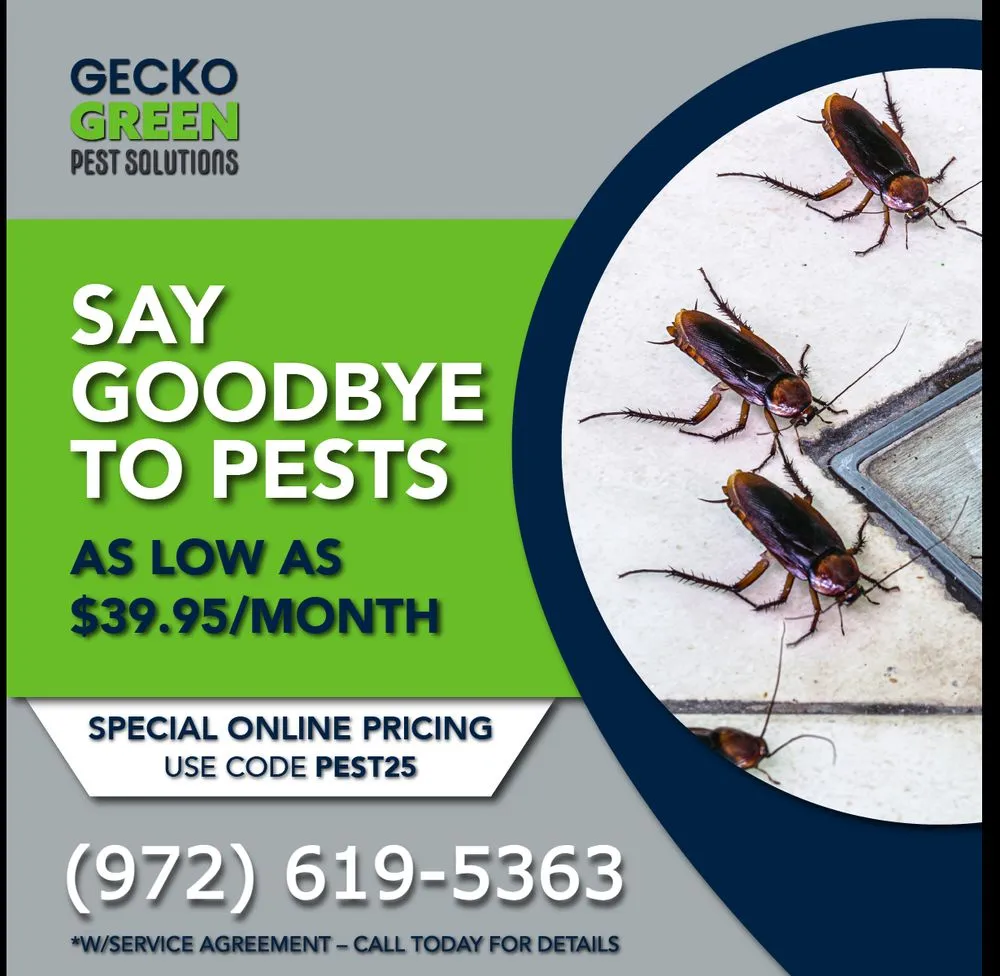 Expert outdoor landscaping with custom design across McKinney, TX - Gecko Green