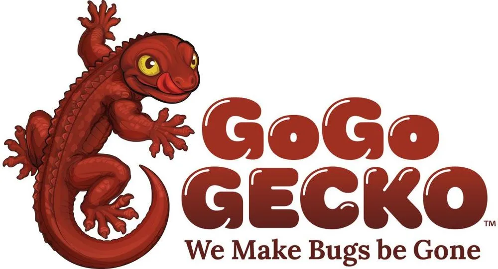 Local outdoor landscaping for outdoor upgrades in McKinney, TX by Gecko Green