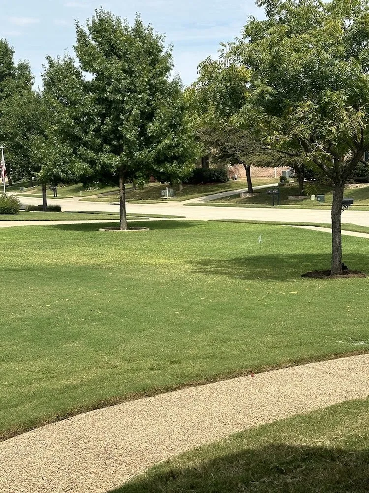 Professional outdoor landscaping for homes in McKinney, TX by Gecko Green