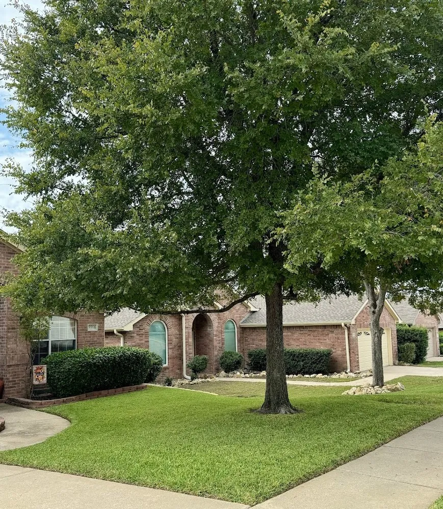 Custom outdoor landscaping for outdoor upgrades across McKinney, TX - Gecko Green