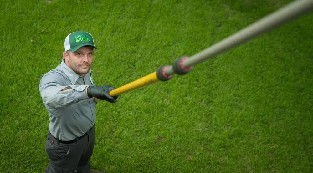 Local lawn care service for residential properties across McKinney, TX - Gecko Green