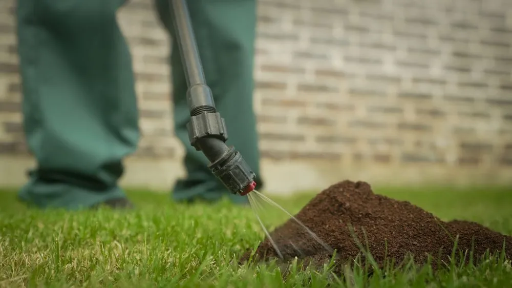 Local lawn mowing service in McKinney, TX by Gecko Green