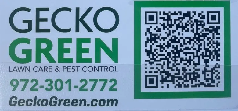Top-rated yard cleanup service for outdoor upgrades in McKinney, TX by Gecko Green