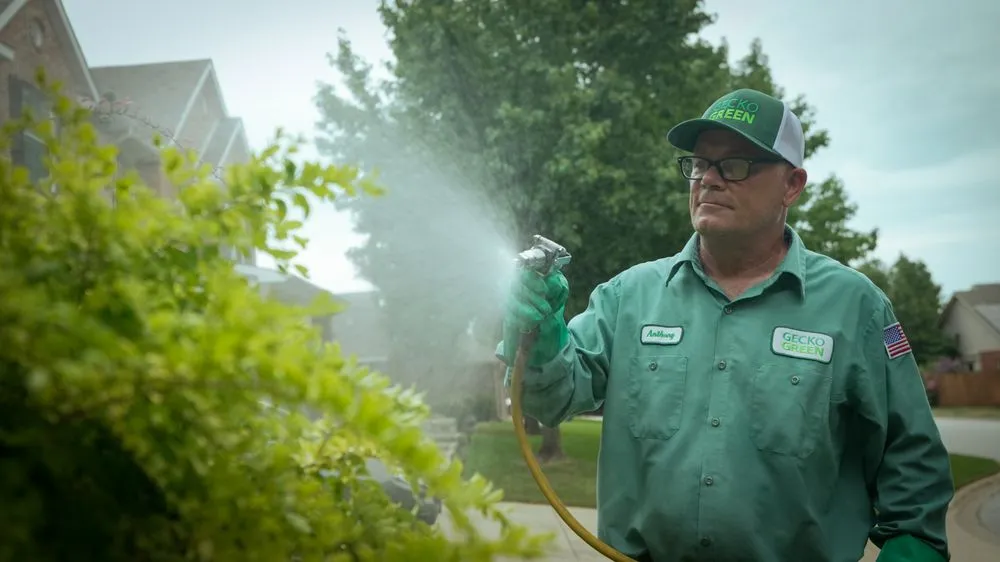 Trusted lawn mowing service in McKinney, TX by Gecko Green