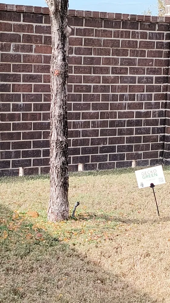 Affordable garden landscaping in McKinney, TX by Gecko Green