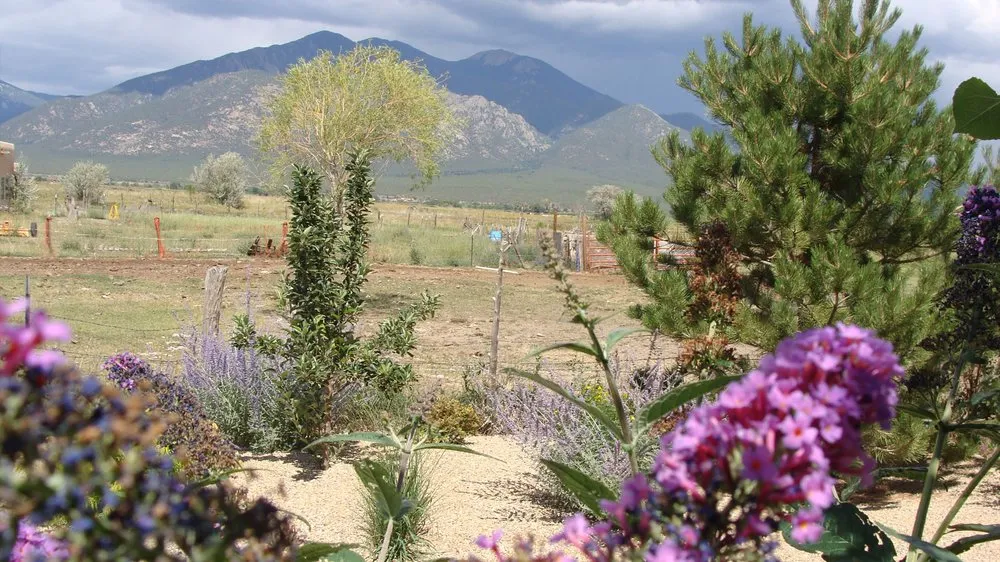 Professional landscaping services for beautiful yards in El Prado, NM by Gecko Landscaping