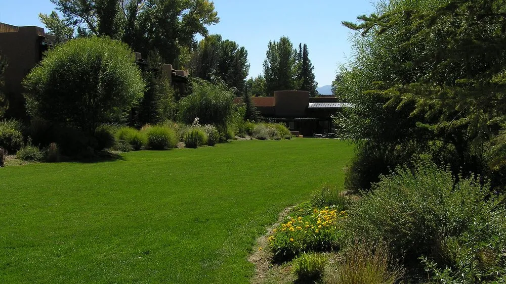 Affordable yard maintenance in El Prado, NM - Gecko Landscaping
