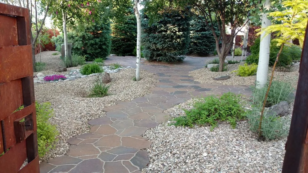 Reliable yard cleanup service in El Prado, NM by Gecko Landscaping