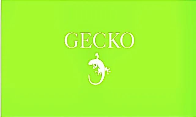 Trusted yard maintenance experts serving Port Arthur, TX - GECKO Lawn care