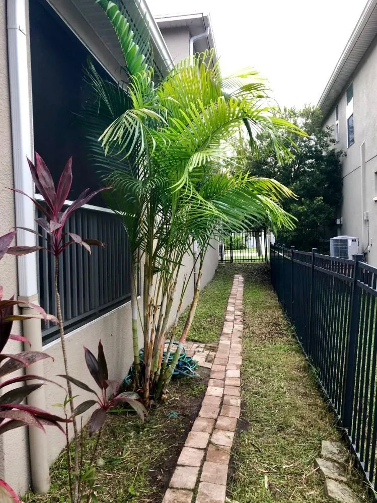 Local landscape installation experts serving St. Petersburg, FL - GED Tree & Lawn Care