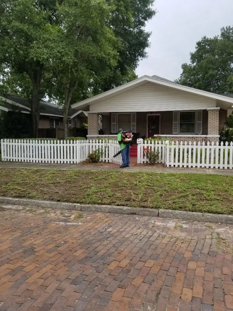 Trusted landscaping services in St. Petersburg, FL - GED Tree & Lawn Care