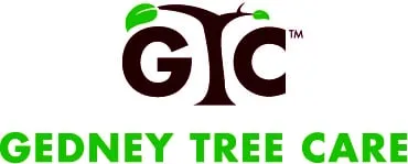 Top-rated lawn mowing service for homes across Rye, NY - Gedney Tree Care
