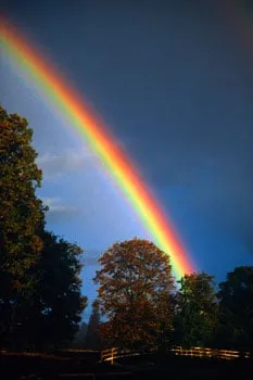 Professional outdoor landscaping for outdoor upgrades in Rye, NY by Gedney Tree Care