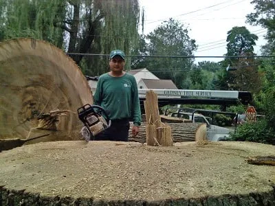 Local landscape design for beautiful yards in Rye, NY by Gedney Tree Care