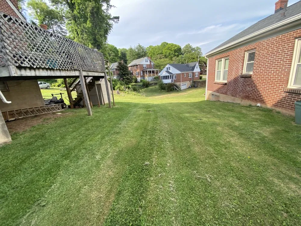 Professional yard cleanup service for residential properties across Martinsville, VA - Gee L