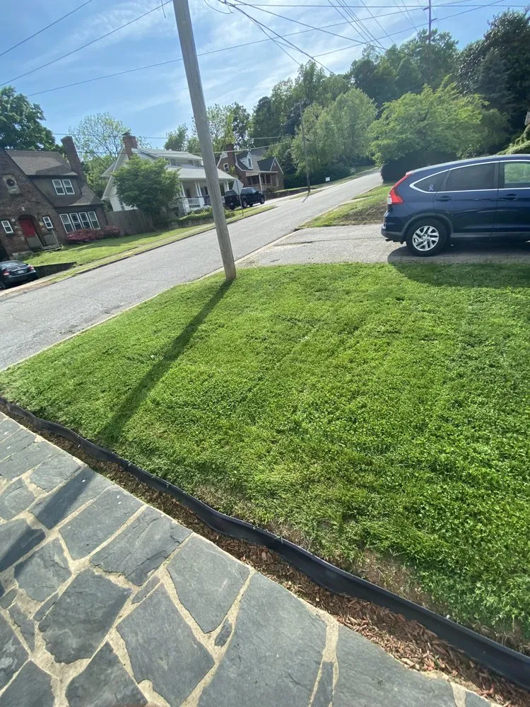 Expert lawn care service in Martinsville, VA - Gee L