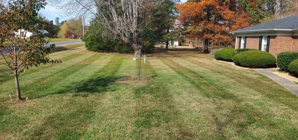 Trusted residential landscaping for residential properties across Charlotte Court House, VA - Gee Landscaping